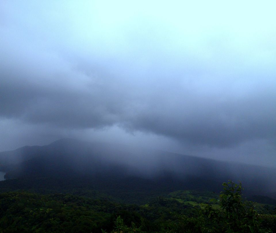 Photo of Jambhulmal, Sanjay Gandhi National Park, 18th August 2013 by Winnie Karnik