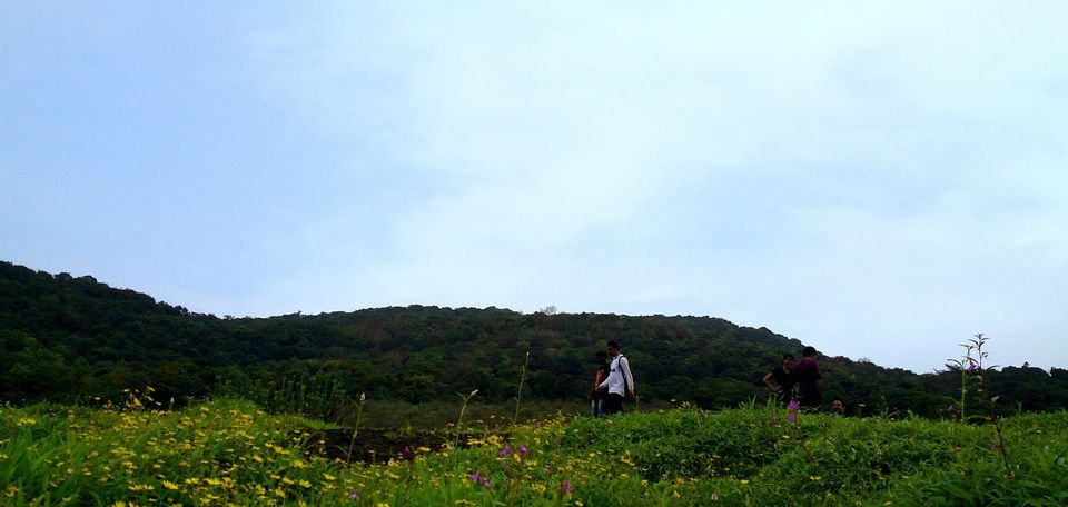 Photo of Jambhulmal, Sanjay Gandhi National Park, 18th August 2013 by Winnie Karnik