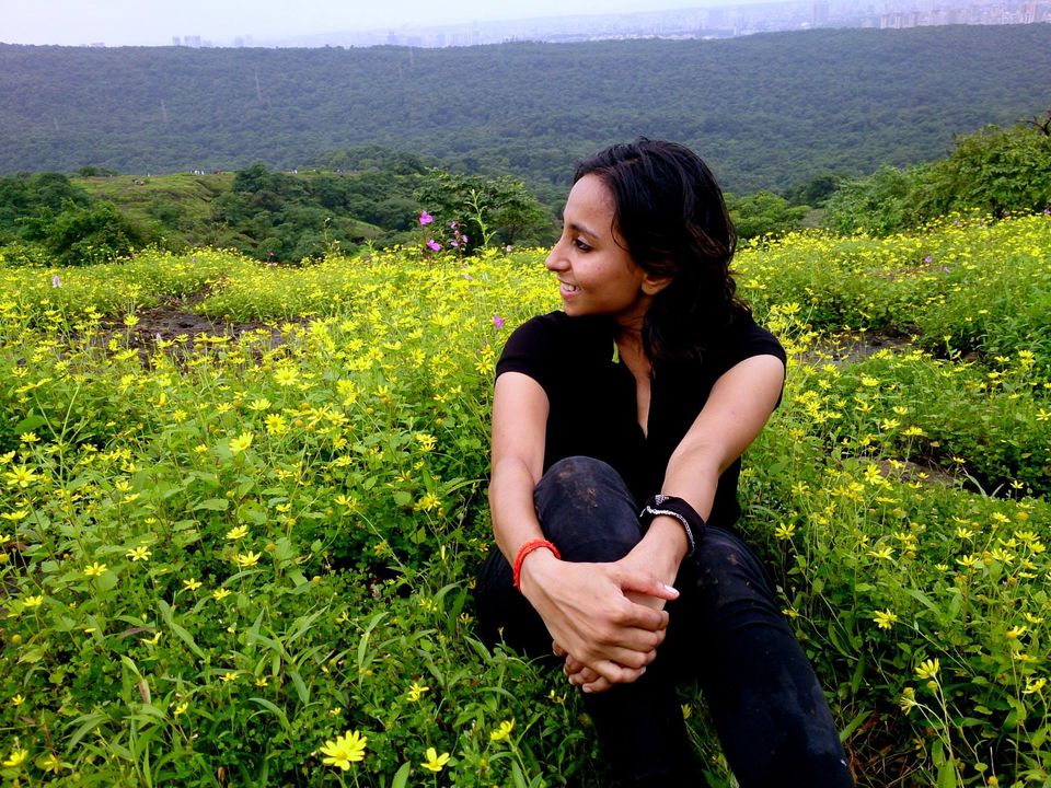 Photo of Jambhulmal, Sanjay Gandhi National Park, 18th August 2013 by Winnie Karnik