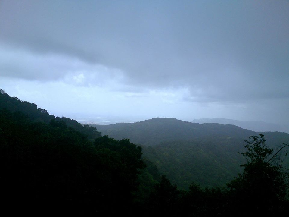 Photo of Jambhulmal, Sanjay Gandhi National Park, 18th August 2013 by Winnie Karnik