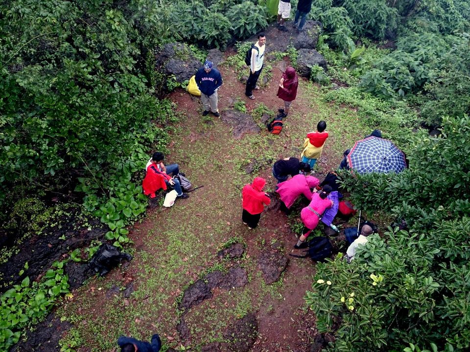 Photo of Jambhulmal, Sanjay Gandhi National Park, 18th August 2013 by Winnie Karnik