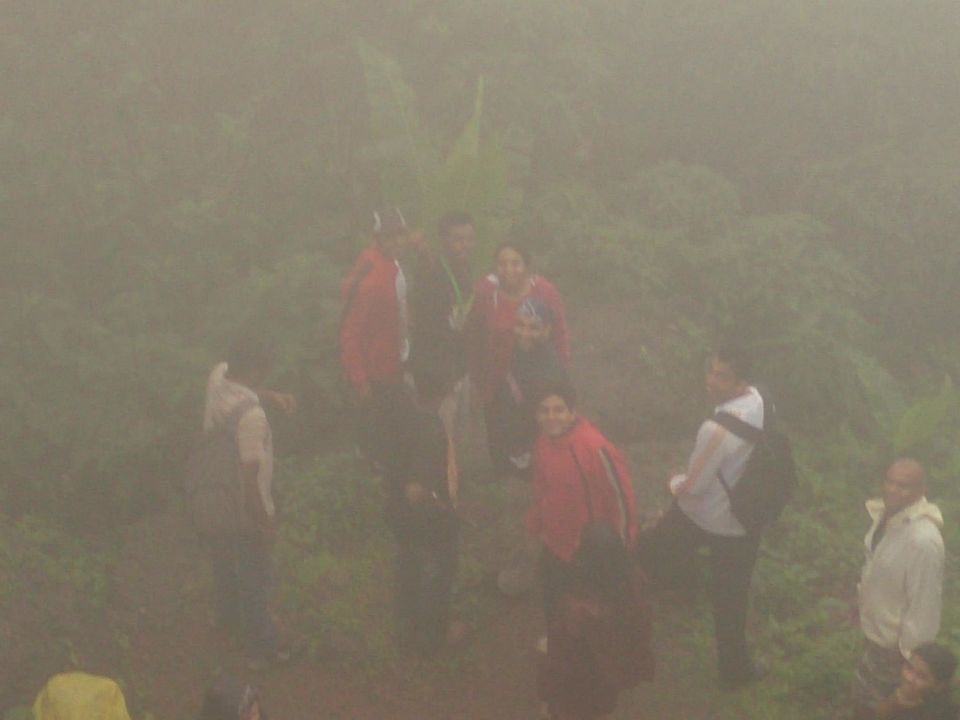Photo of Jambhulmal, Sanjay Gandhi National Park, 18th August 2013 by Winnie Karnik