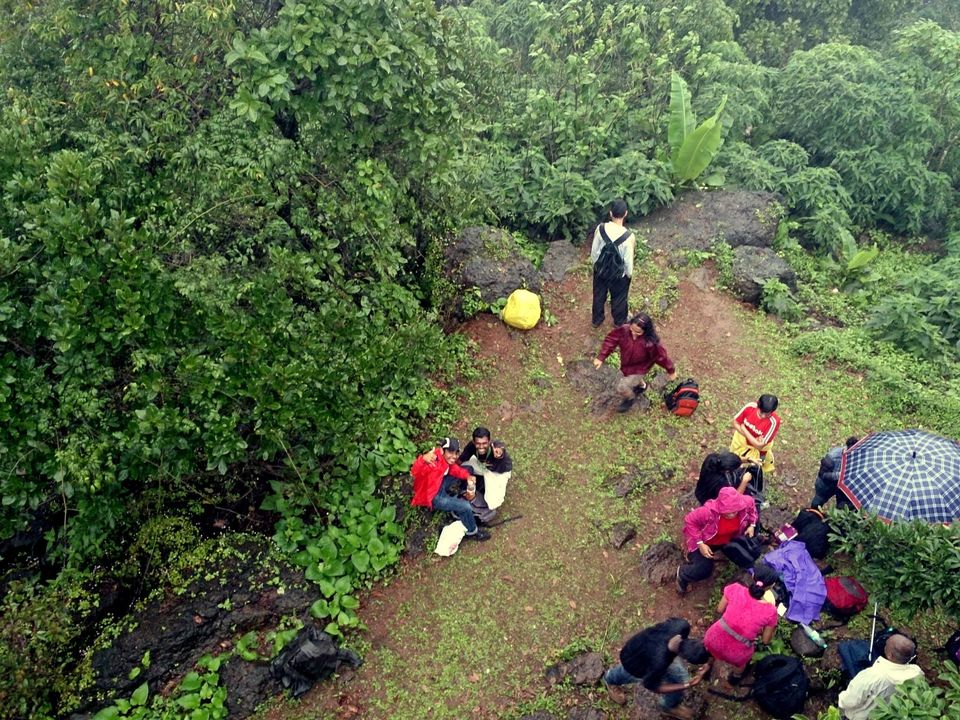 Photo of Jambhulmal, Sanjay Gandhi National Park, 18th August 2013 by Winnie Karnik