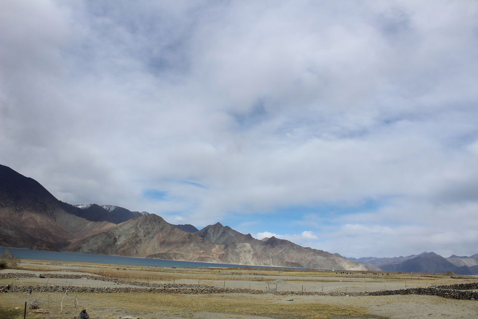 Photo of Peacefull Homestay Merak, Leh by Shreyas Macwan