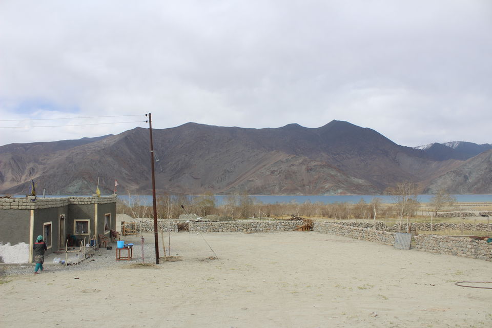 Photo of Peacefull Homestay Merak, Leh by Shreyas Macwan