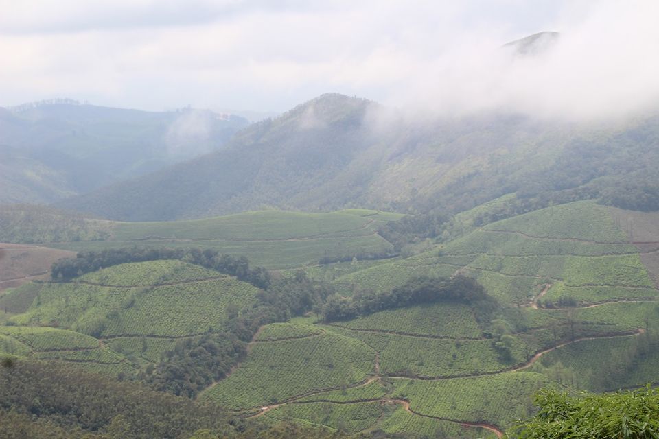 Photo of A 3.6 year old in God's own country 35/148 by Shreyas Macwan