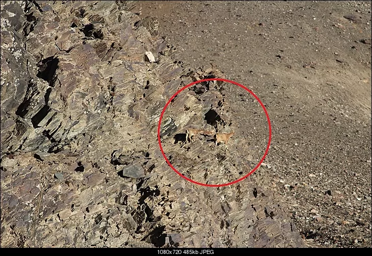 Photo of Keylong Sarai, Keylong-Leh Road, Killingsarai, Himachal Pradesh, India by Shreyas Macwan