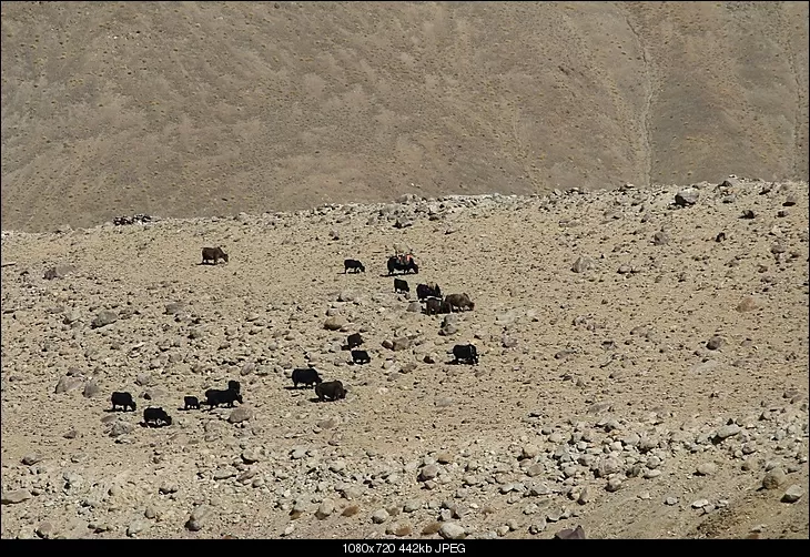 Photo of Rumtse by Shreyas Macwan