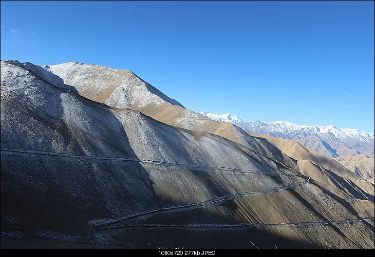 Photo of Zingral by Shreyas Macwan