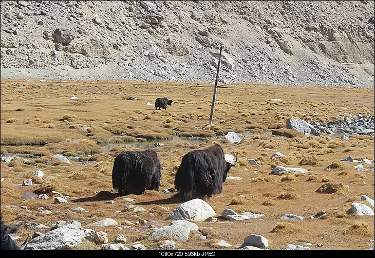 Photo of Tangtse by Shreyas Macwan