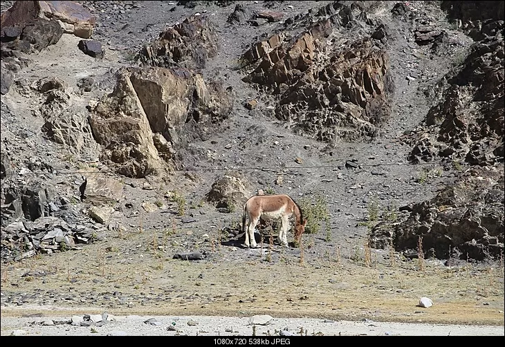 Photo of Tangtse by Shreyas Macwan
