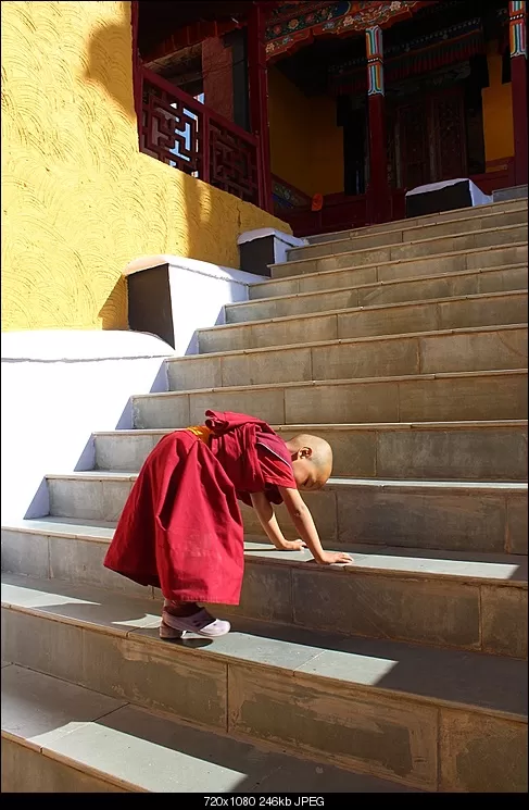 Photo of Thiksey Monastery Leh Ladakh, Leh Manali Highway, Thiksey by Shreyas Macwan