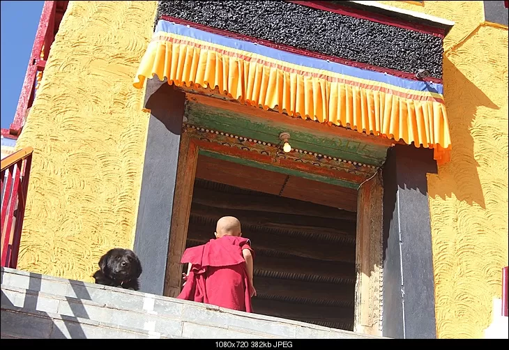 Photo of Thiksey Monastery Leh Ladakh, Leh Manali Highway, Thiksey by Shreyas Macwan