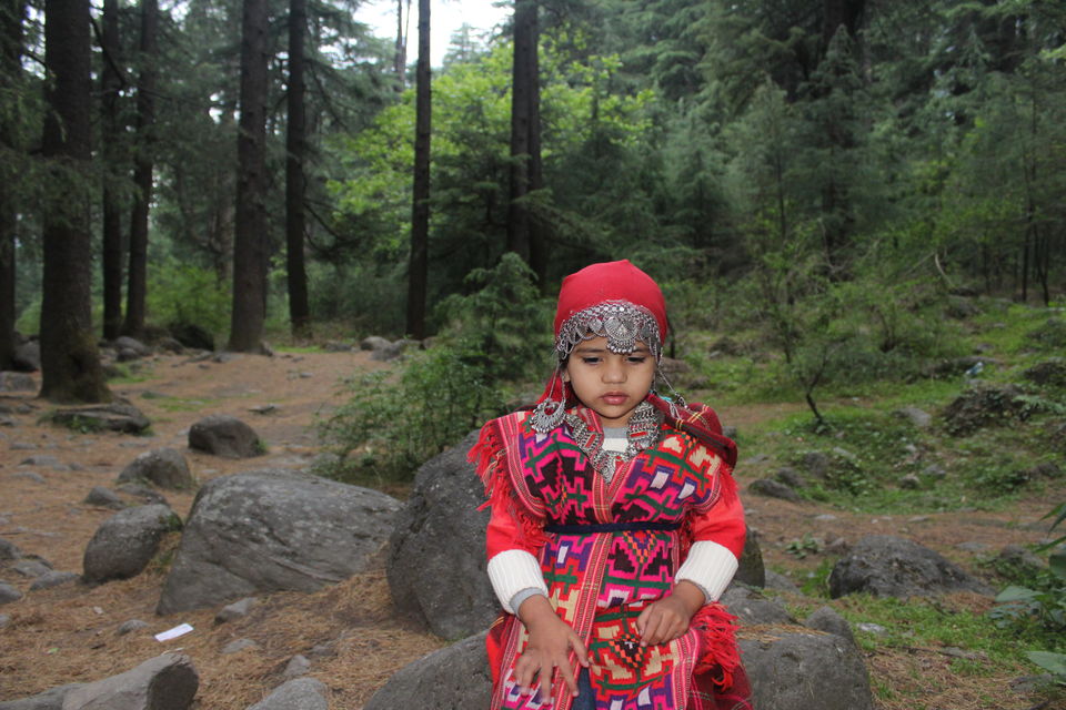 Photo of Van Vihar, Manali, Himachal Pradesh by Shreyas Macwan