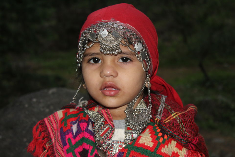 Photo of Van Vihar, Manali, Himachal Pradesh by Shreyas Macwan