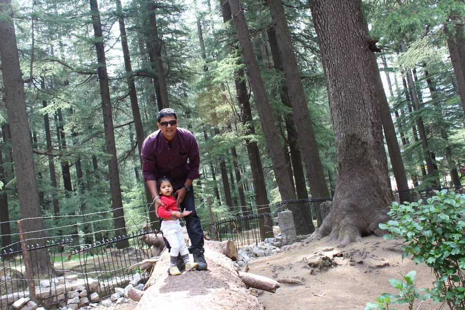 Photo of Hadimba Devi Temple, Hadimba Temple Road, Old Manali, Manali, Himachal Pradesh, India by Shreyas Macwan