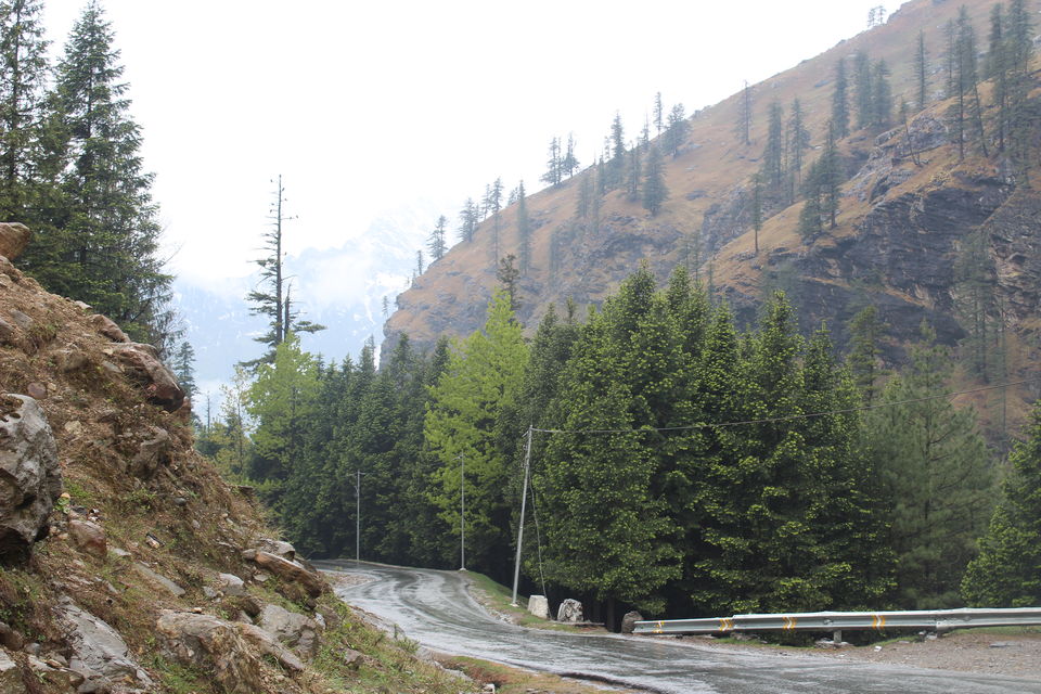 Photo of Kothi, Himachal Pradesh, India by Shreyas Macwan