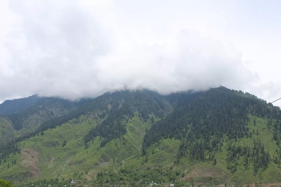 Photo of Gagangair Park (Ishtiyaq), Srinagar - Ladakh Road, Forest Block by Shreyas Macwan