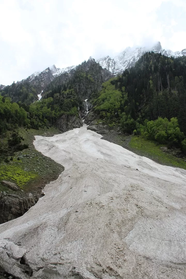 Photo of Hung Park (Ferooz), Srinagar - Ladakh Highway, Forest Block by Shreyas Macwan