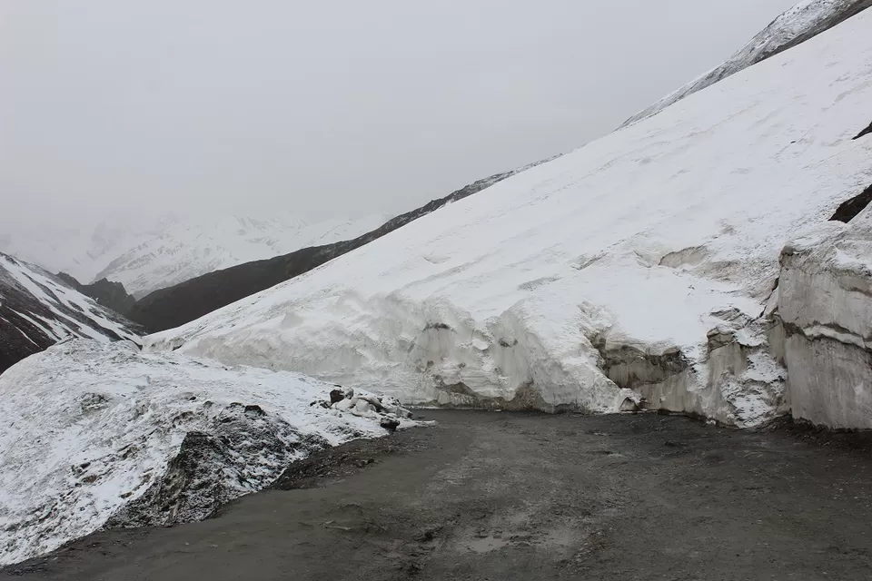 Photo of Zoji La, Forest Block by Shreyas Macwan