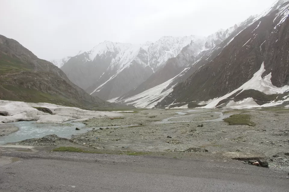 Photo of Gumri by Shreyas Macwan