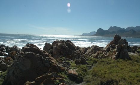 Photo of Beach Holidays: Pringle Bay South Africa tour package, things to do in vermont hermanus, pringle bay 2/8 by Shaun