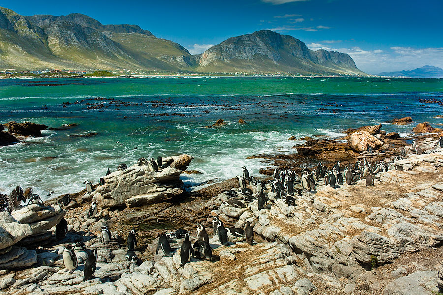Photo of Beach Holidays: Pringle Bay South Africa tour package, things to do in vermont hermanus, pringle bay 7/8 by Shaun