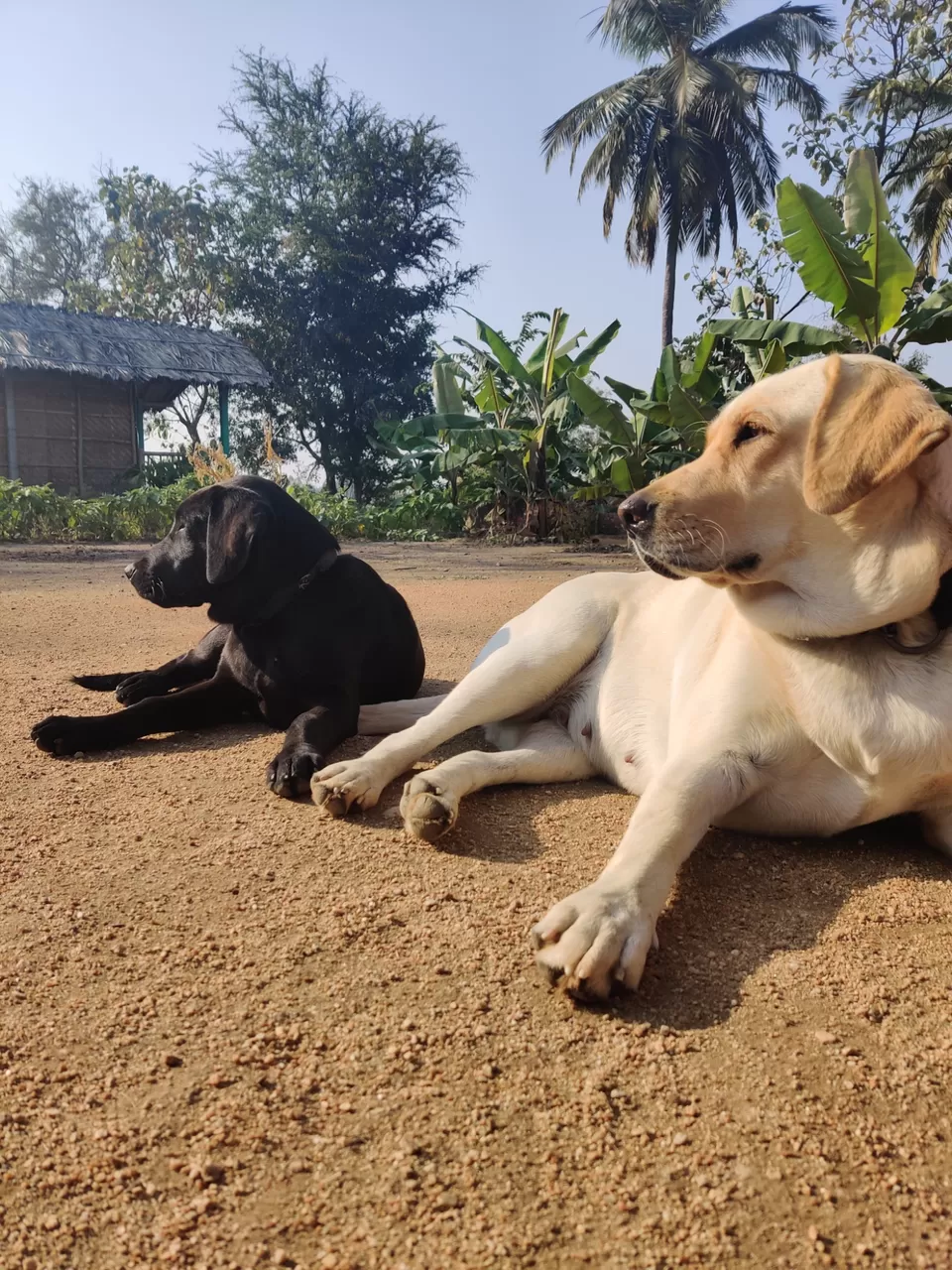 Photo of Don't worry..Be HAMPI.. by @probablynomad