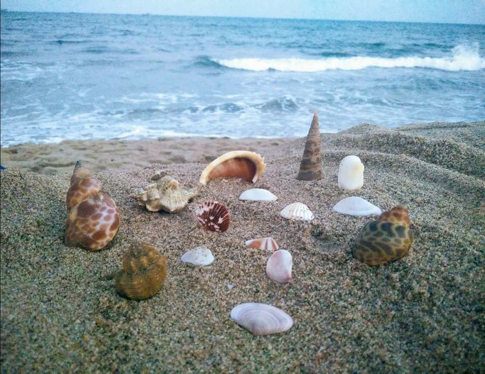 Photo of Chennai to Pondicherry by Sheetal Bilewar
