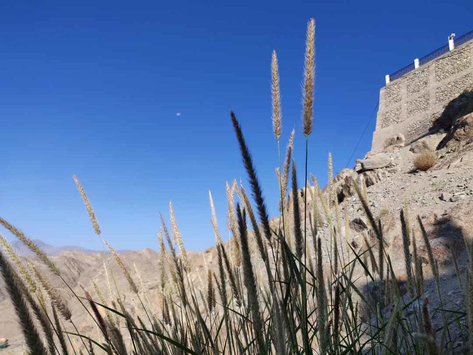 Photo of Unfolding Ladakh : A Colorful Mess by Sheetal Bilewar