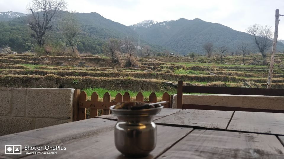 Photo of AVVA's Southern Indian Cafe, Suja, Himachal Pradesh, India by Lekha Rane