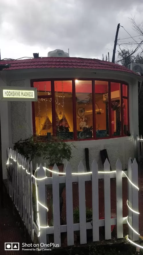 Photo of Moonshine Madness, Chaugan - Sansal Road, Suja, Himachal Pradesh, India by Lekha Rane