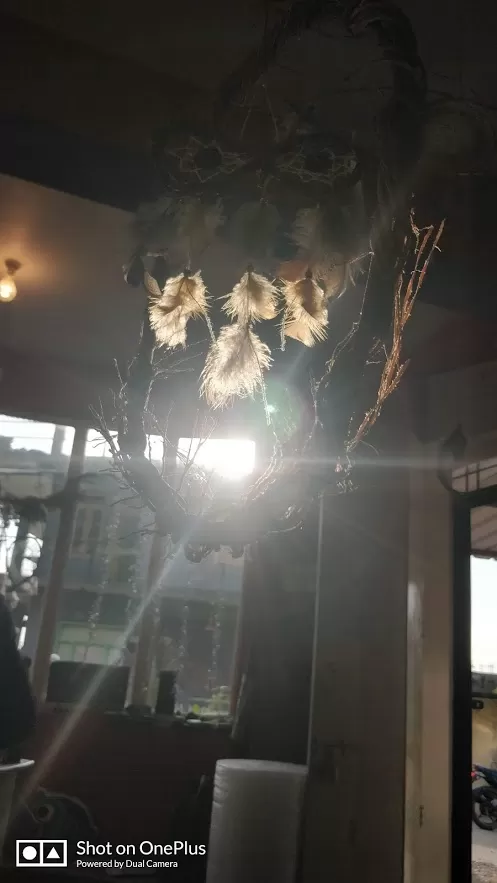 Photo of Moonshine Madness, Chaugan - Sansal Road, Suja, Himachal Pradesh, India by Lekha Rane