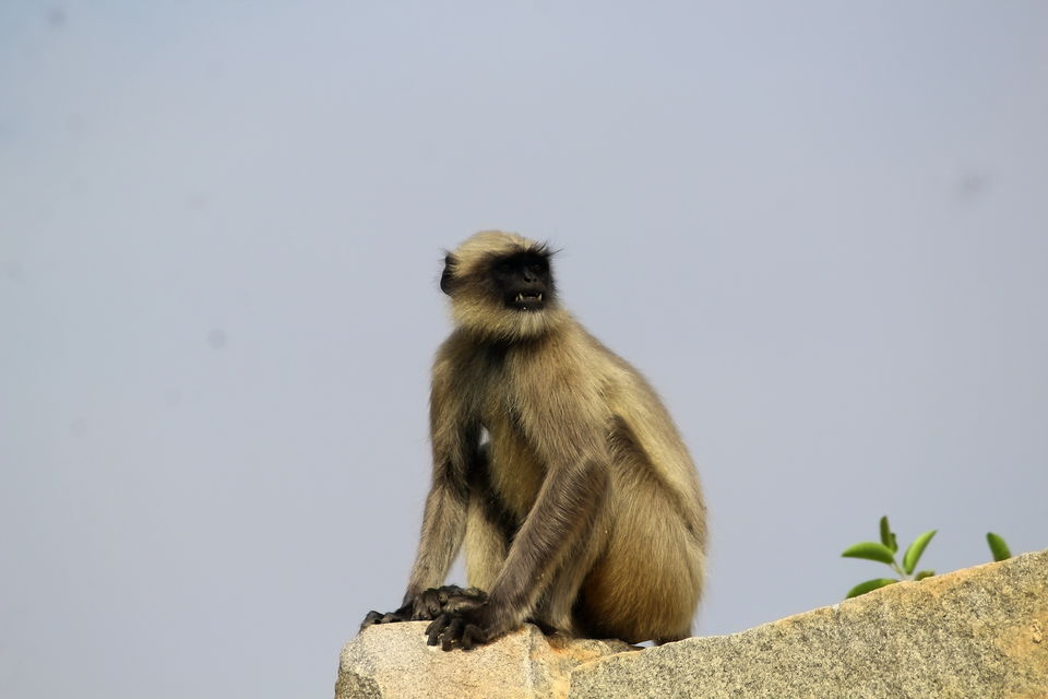 Photo of Year end trip to world Heritage site Hampi by Rakesh Chilumuru