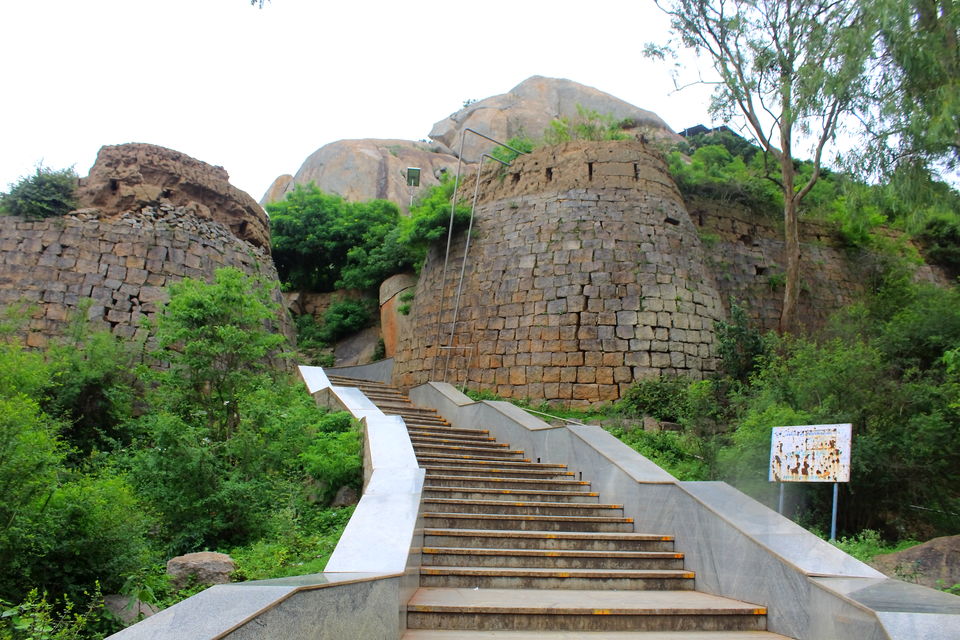 Photo of Post Monsoon Drive to DD Hills (Devarayana Durga Hills) by Rakesh Chilumuru