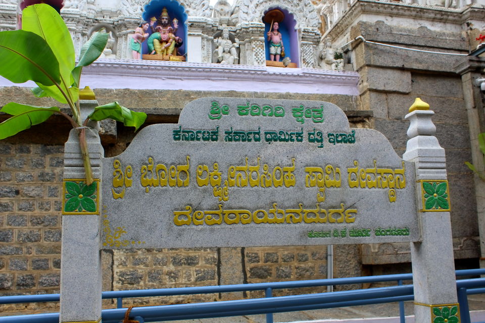 Photo of Post Monsoon Drive to DD Hills (Devarayana Durga Hills) by Rakesh Chilumuru