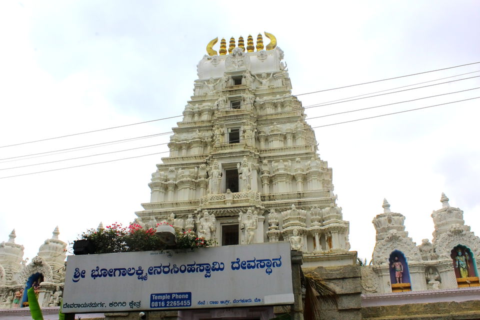 Photo of Post Monsoon Drive to DD Hills (Devarayana Durga Hills) by Rakesh Chilumuru