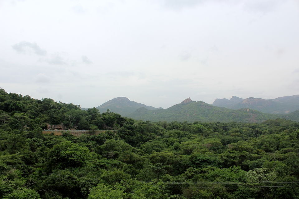 Photo of Post Monsoon Drive to DD Hills (Devarayana Durga Hills) by Rakesh Chilumuru