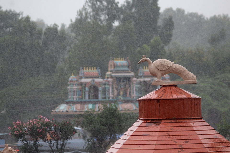 Photo of Post Monsoon Drive to DD Hills (Devarayana Durga Hills) by Rakesh Chilumuru