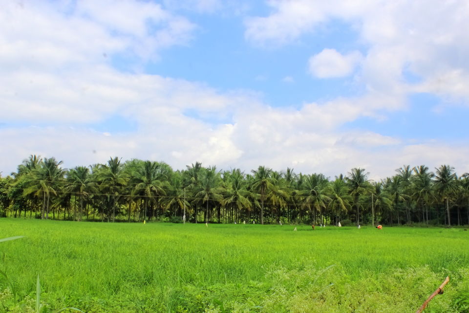 Photo of One day trip to Turuvekere, Thandaga Hoysala Temples & Lakes after the Unlock during the Pandemic by Rakesh Chilumuru
