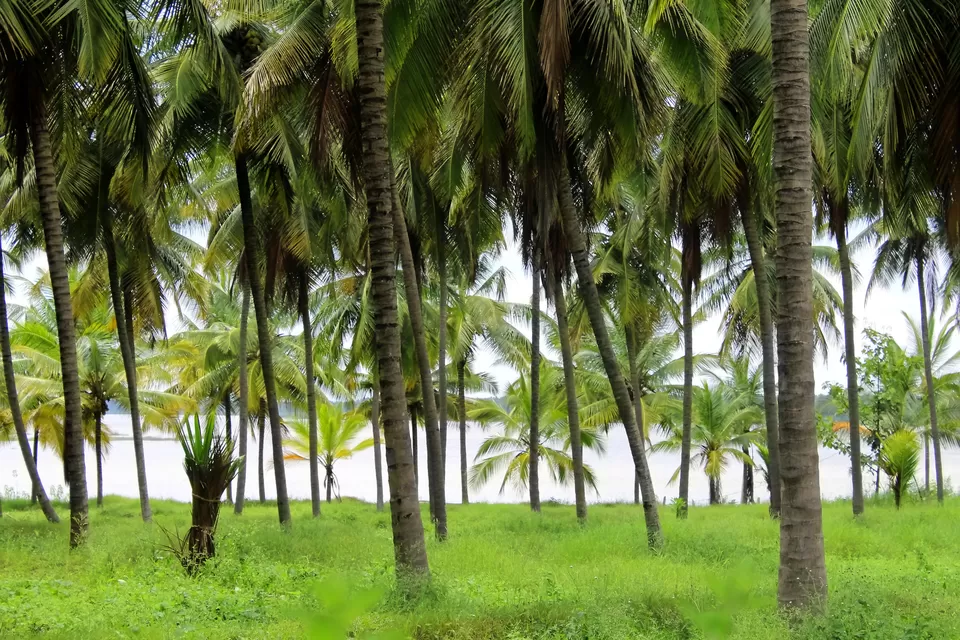 Photo of Bangalore, Karnataka, India by Rakesh Chilumuru
