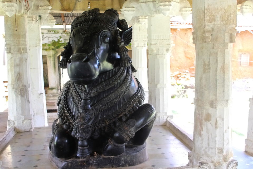 Photo of One day trip to Turuvekere, Thandaga Hoysala Temples & Lakes after the Unlock during the Pandemic by Rakesh Chilumuru