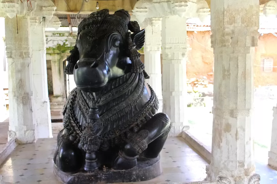 Photo of One day trip to Turuvekere, Thandaga Hoysala Temples & Lakes after the Unlock during the Pandemic by Rakesh Chilumuru