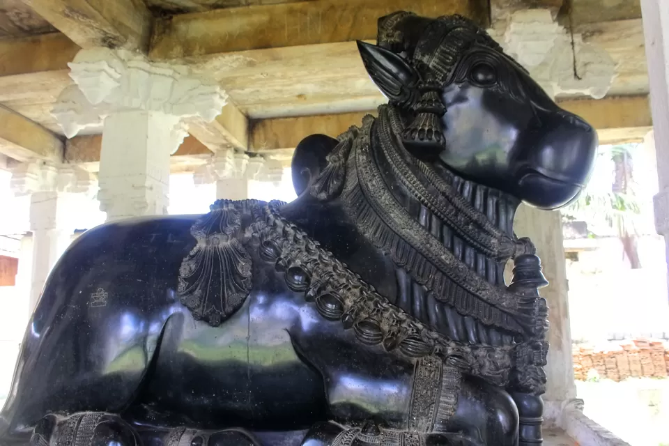 Photo of One day trip to Turuvekere, Thandaga Hoysala Temples & Lakes after the Unlock during the Pandemic by Rakesh Chilumuru