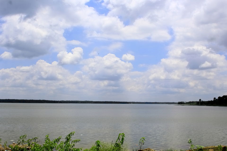 Photo of MALLAGHATTA KERE, Karnataka by Rakesh Chilumuru