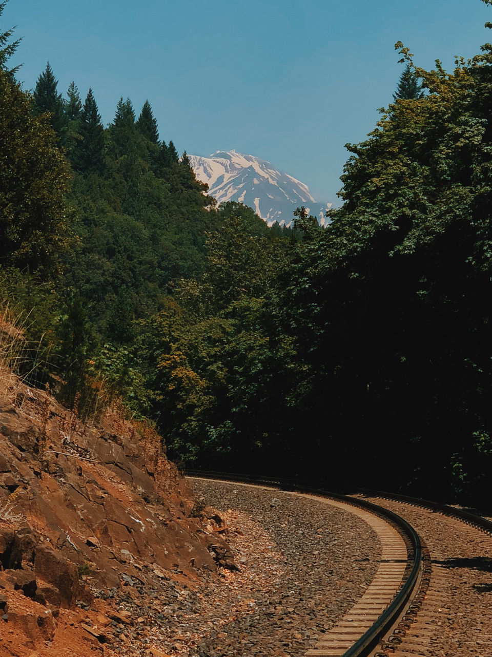 Photo of Mount Shasta: Weekend nature retreat 15/21 by Madhura Raut
