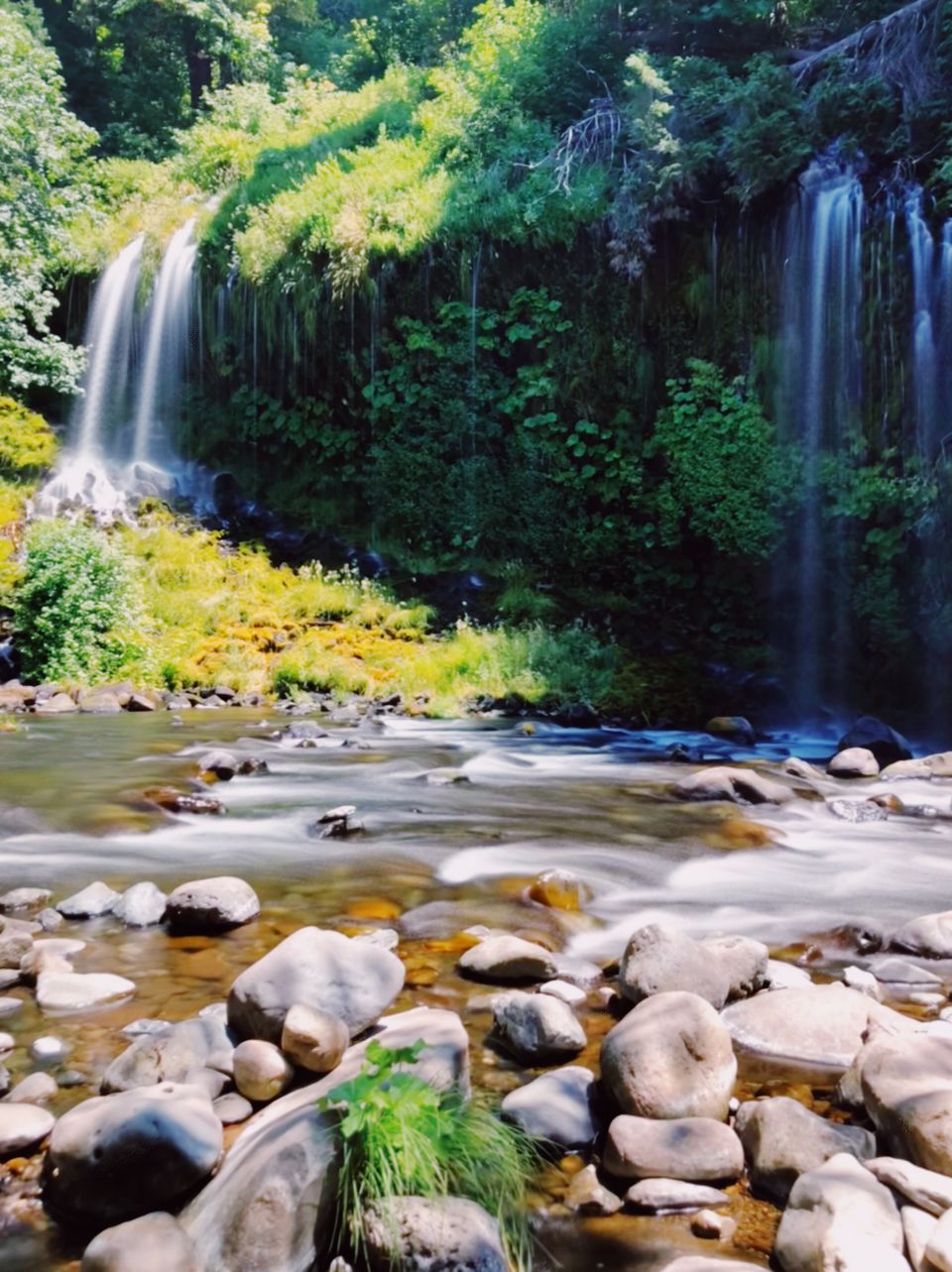 Photo of Mount Shasta: Weekend nature retreat 16/21 by Madhura Raut