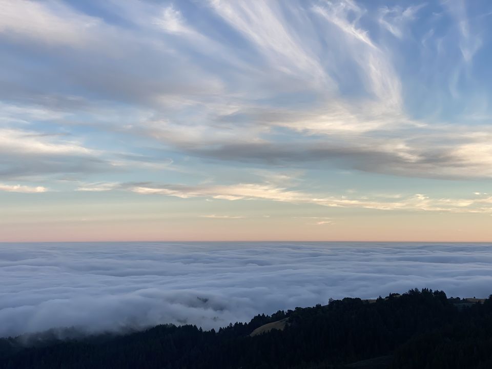 Photo of Above and beyond the clouds on Mount Tam 4/5 by Madhura Raut
