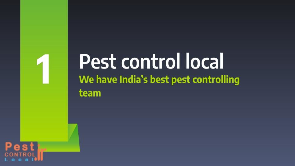 Photo of various type of Instructions to Control pest At Home Using Natural Methods by miller bahama