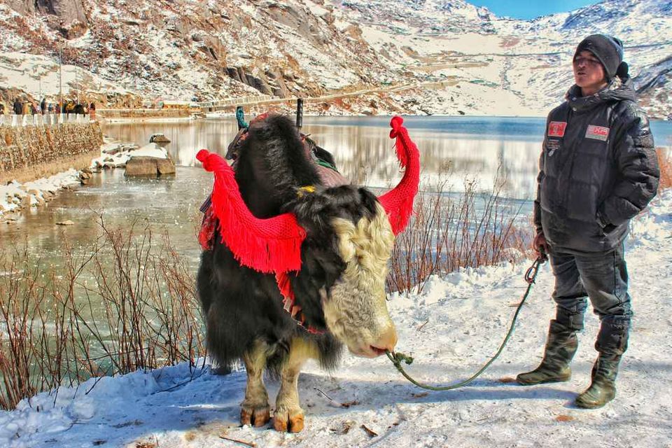 Photo of A day trip to Tsomgo Lake #tripotocommunity by Rakshanda Kadam